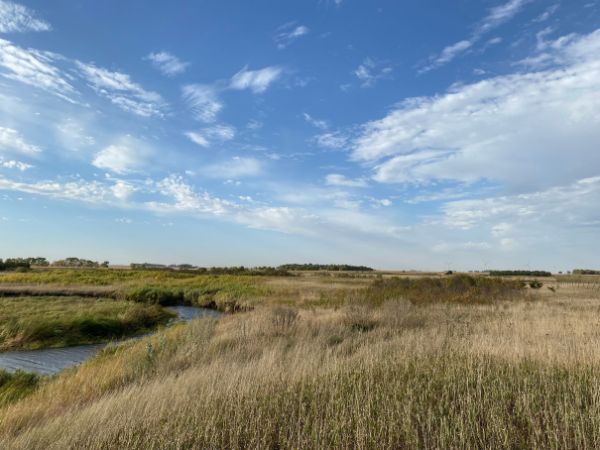 A southwestern Minnesota landscape featuring Pipestone Creek