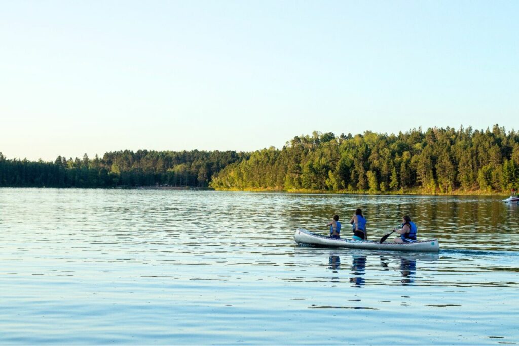 Paddlers in a canoe on a lake with pine trees on the distant shoreline