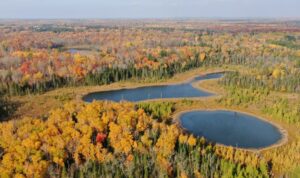 Aerial photo of protected property showing lakes and forest
