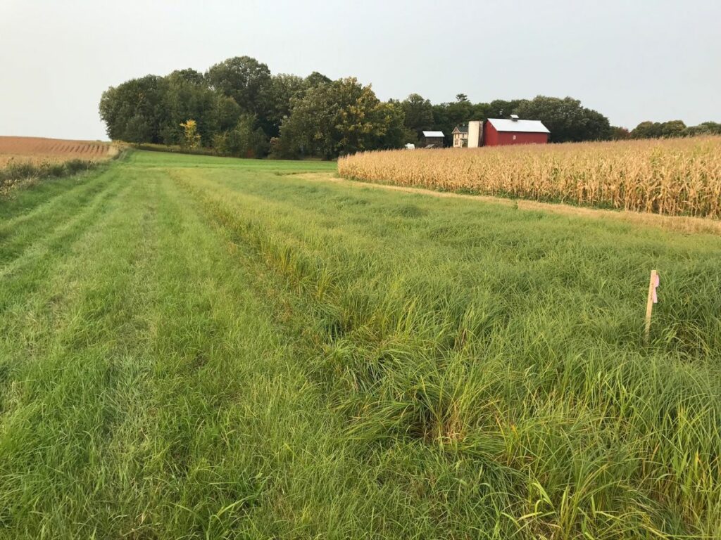 Grass extends from the foreground to the background with crop fields, a red barn, and a stand of large oak trees