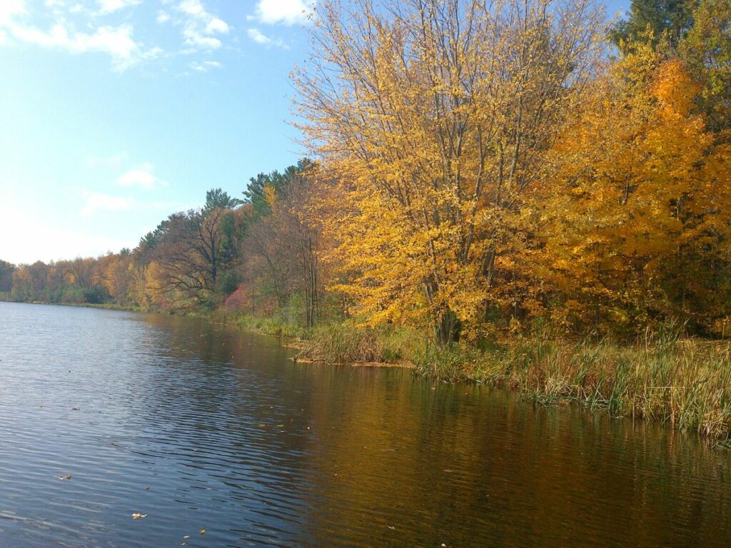 Lake with trees along the shoreline in fall colors, yellow and red