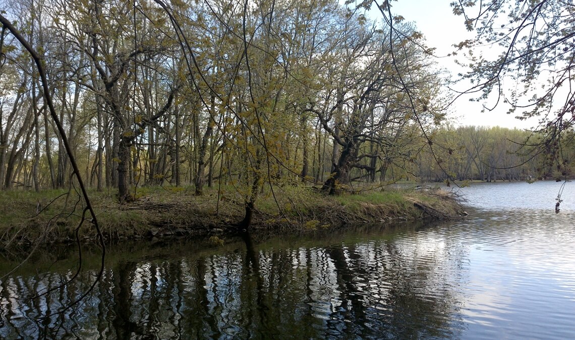 A land peninsula with trees juts into the mostly smooth water as a cloudy sky reflects