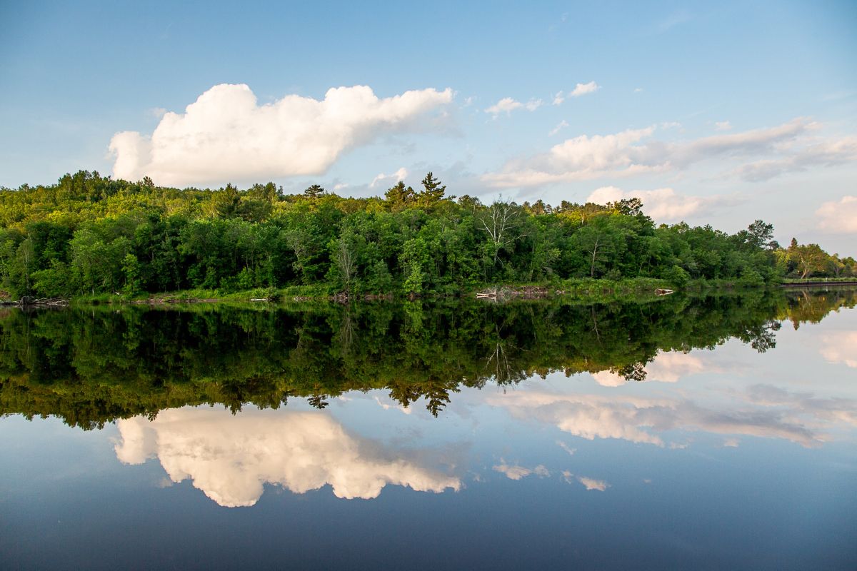 Glass water and a forested shoreline