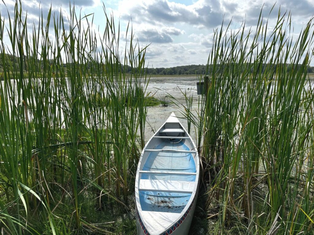 A canoe pointed through cattails towards a lake
