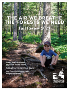 Cover of the Fall Review depicts a young boy sitting on tree roots in a forest